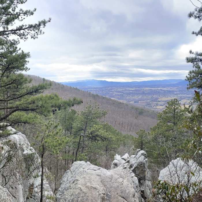 Near Buzzards Rock Trail