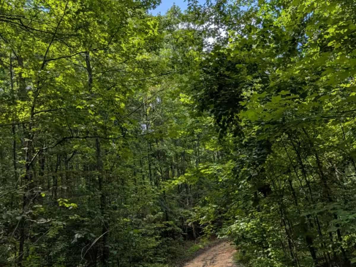Hicks Gap Road photo 5