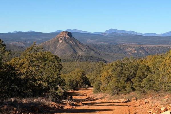 Buzzard Roost - FS 486
