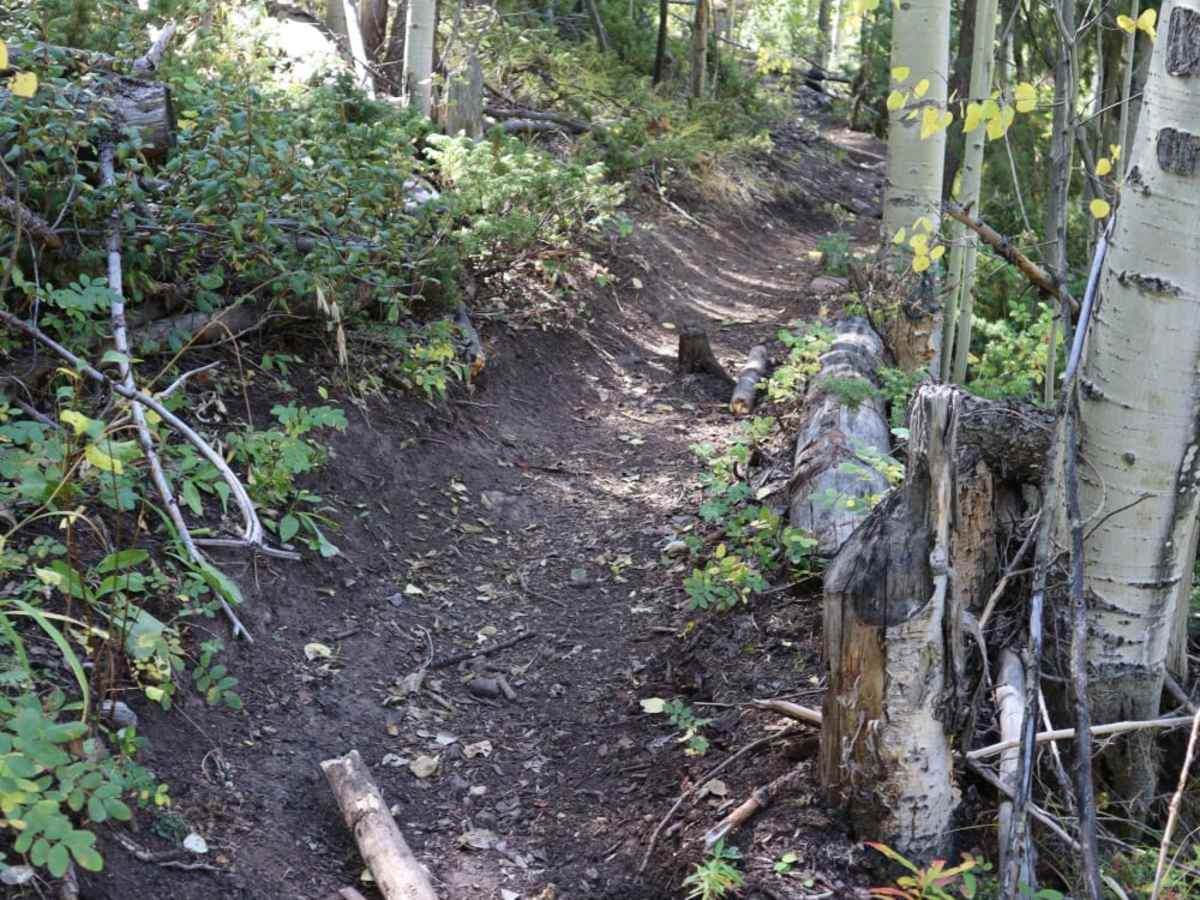 Bennett Creek 2 trail photo