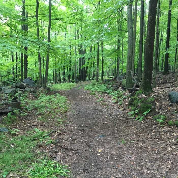 Heading into a switchback section on the east side. Near Fumee Mountain Trail