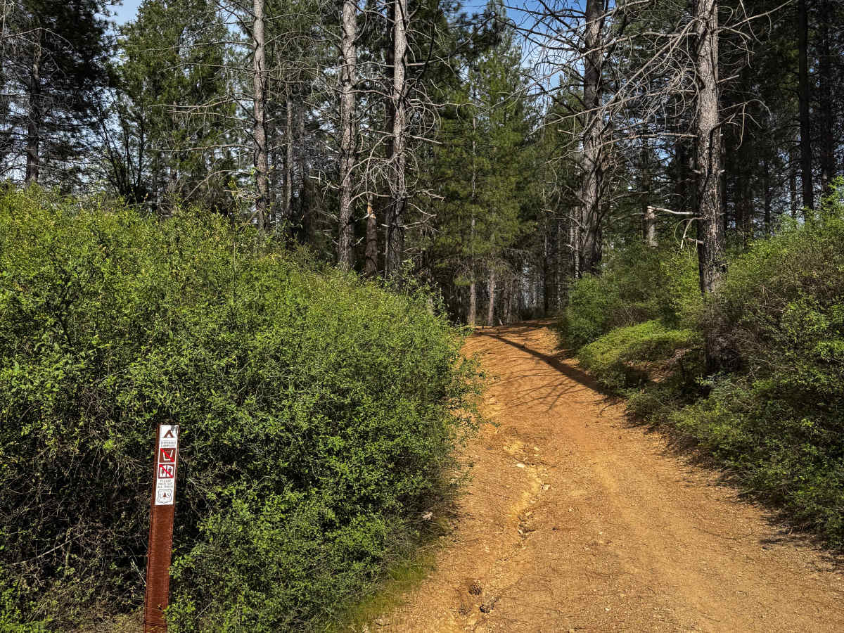 Willow Rock - FS 17N39 photo 3