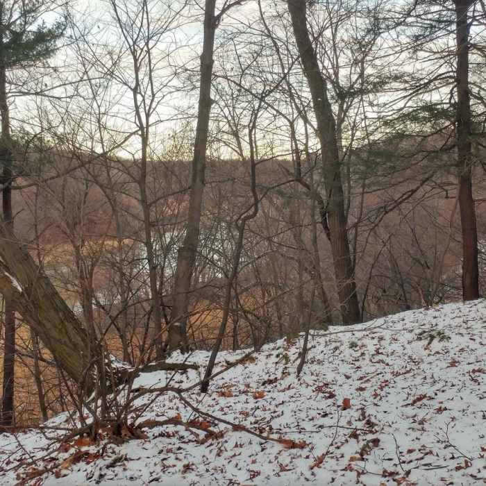Near Genesee Riverway Trail at Seneca Park
