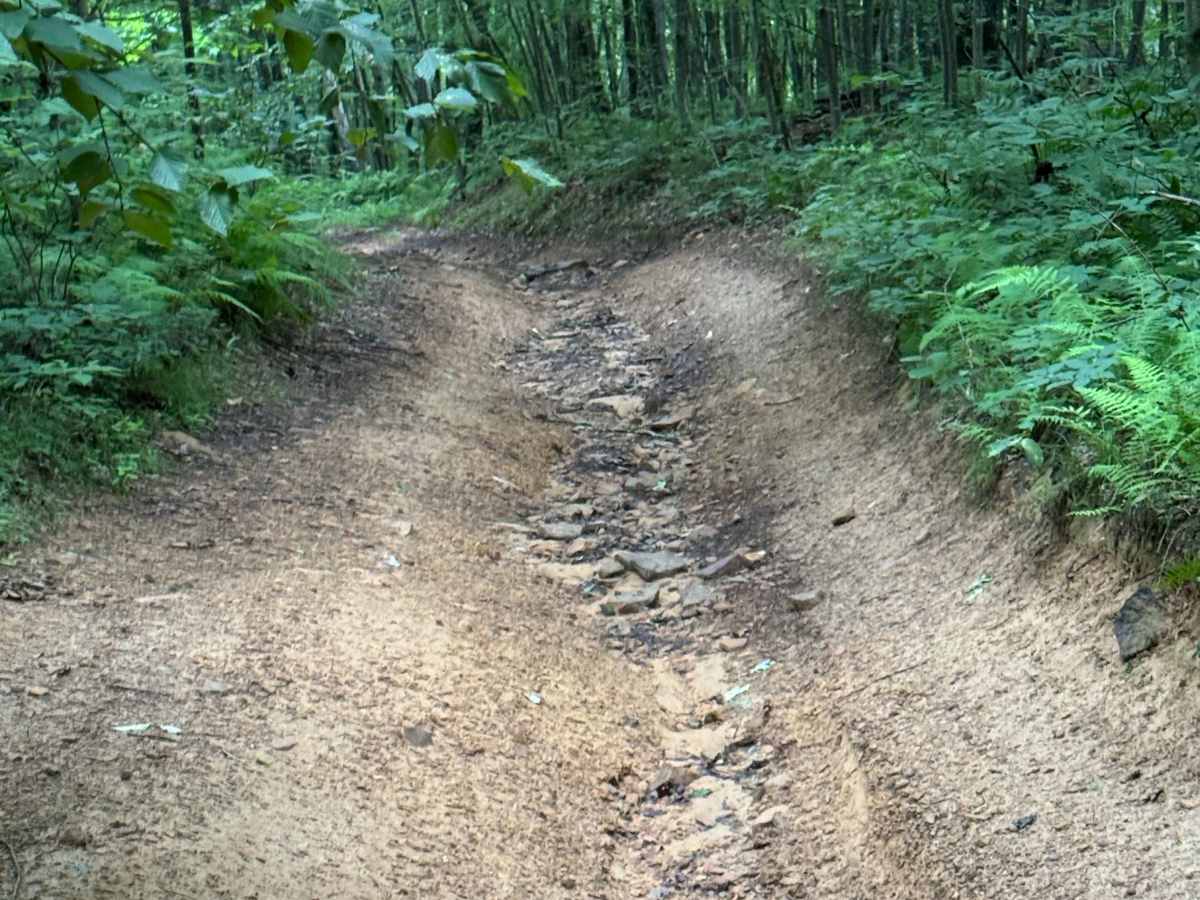 Trail 1 photo 5