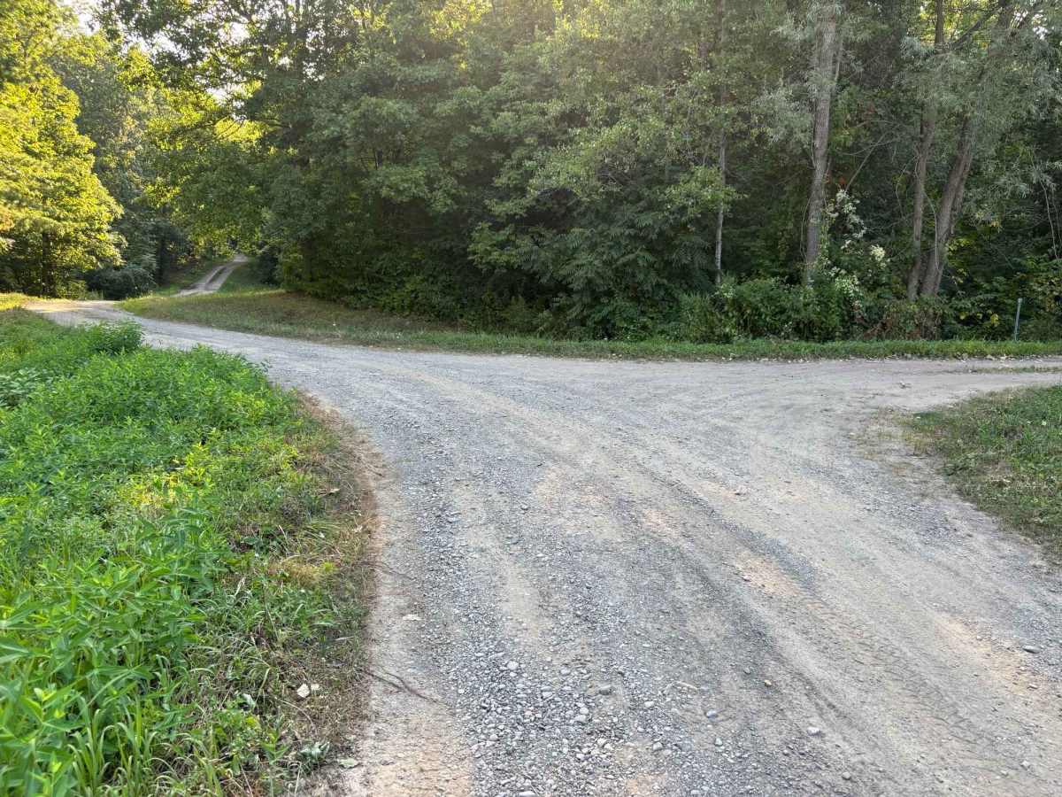 Shaker Access Road East Extension trail photo