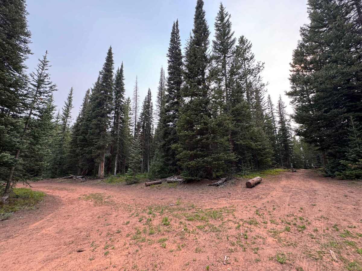 FS 436 photo 6