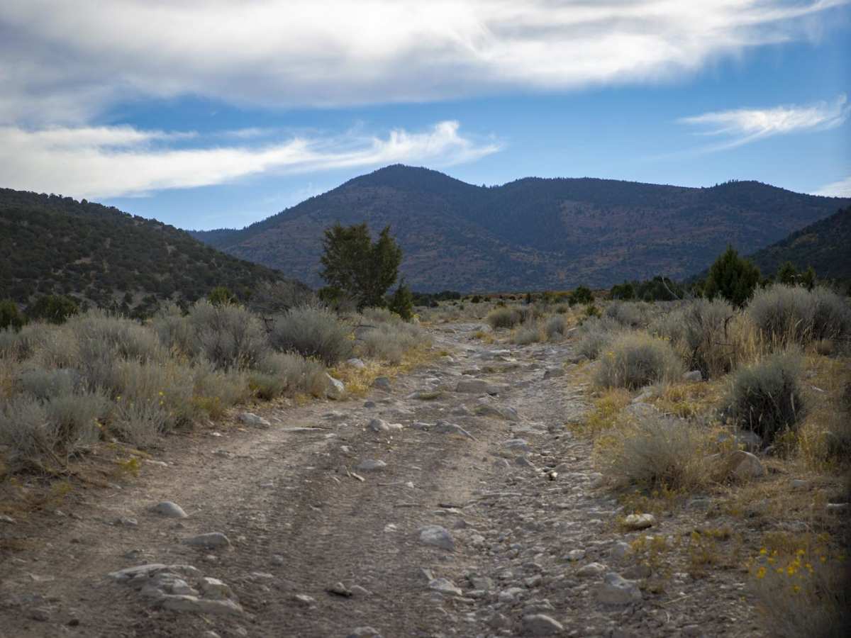 Order Mountain Trail photo 2
