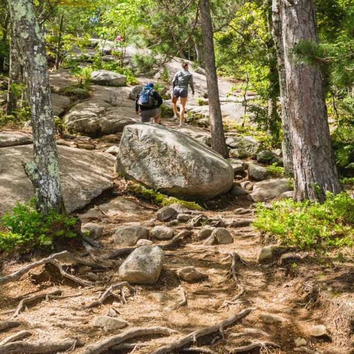 Near Mount Major Loop Near Mount Major Loop