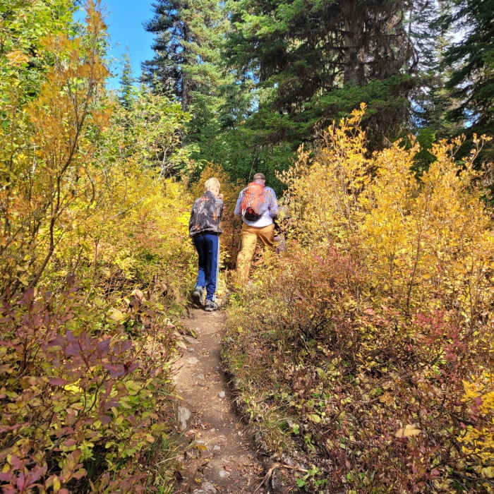 The steeper section of the trail. Near Cold Lakes Trail #121