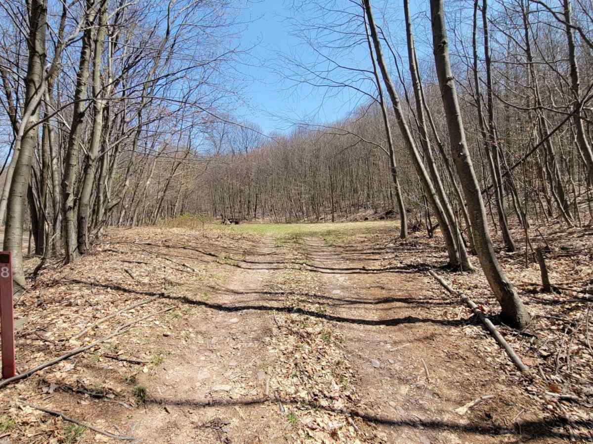 Flat Trail photo 5