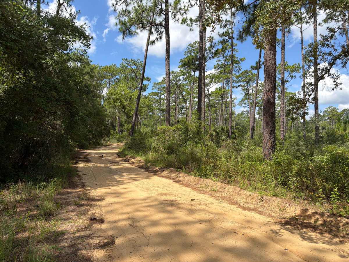 Tomahawk Loop - FS 314A-3.9 photo 3