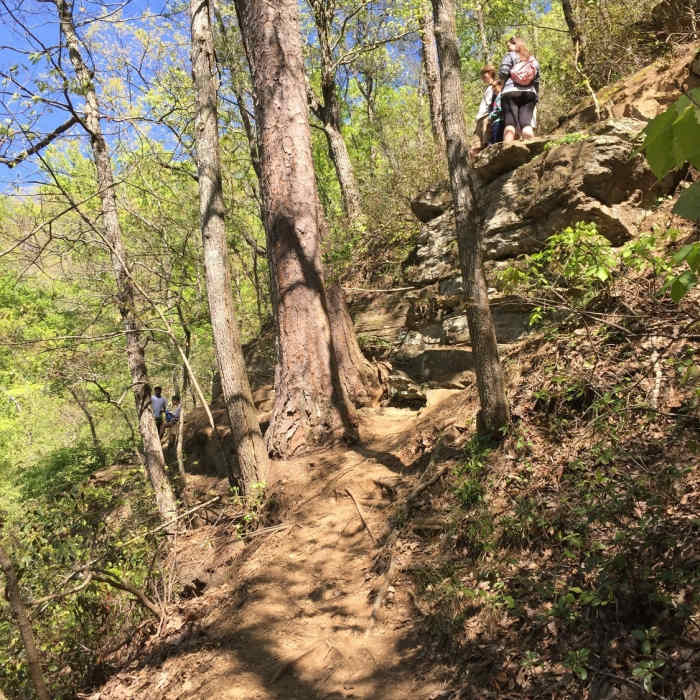 These cliffs (upstream of the dam spill) provide great "natural seating" for a nice lookout. Near Roswell Mill