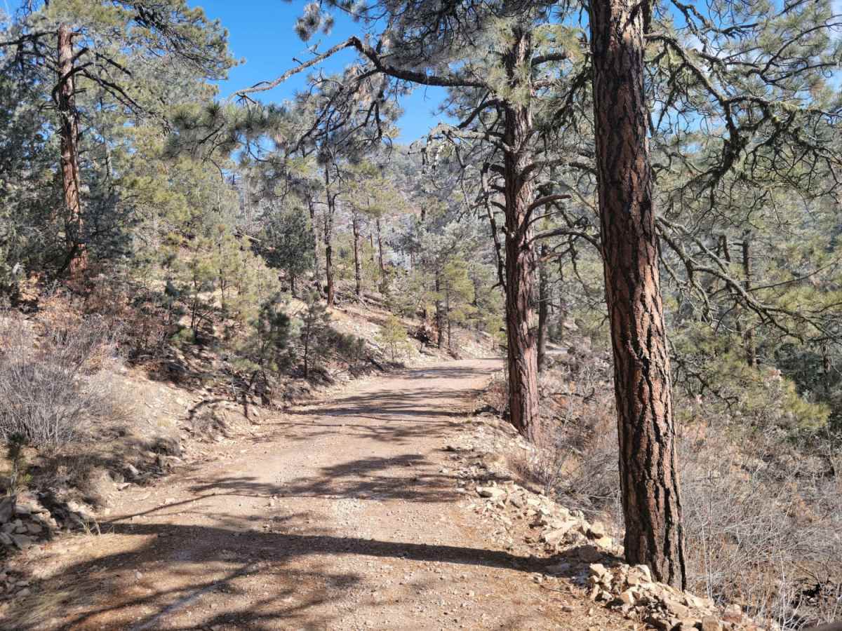 Glorieta Peak trail photo