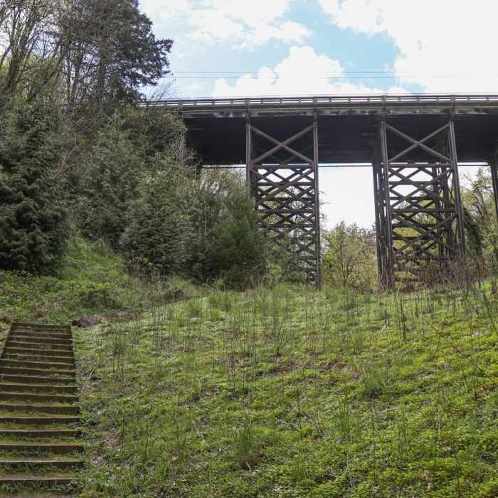 Near George Himes Park Trail