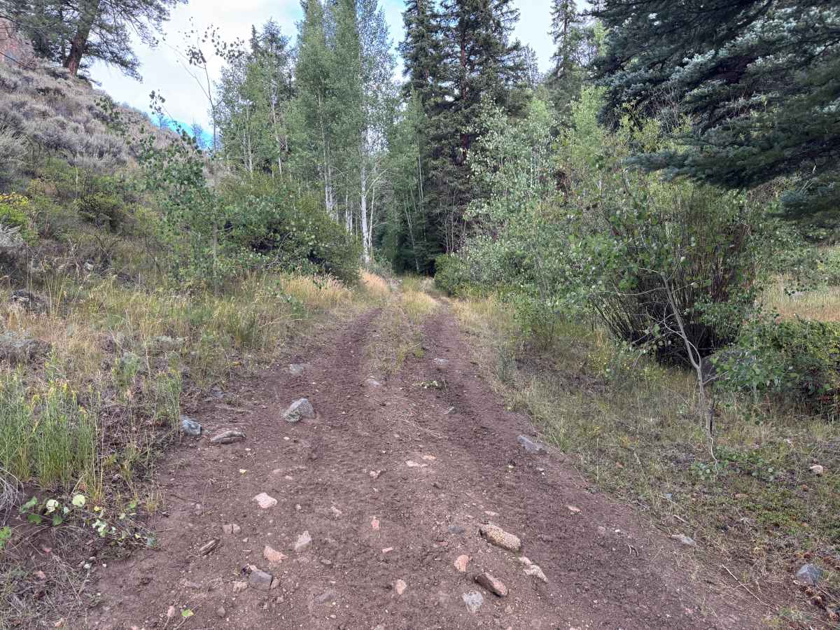East Willow Creek trail photo