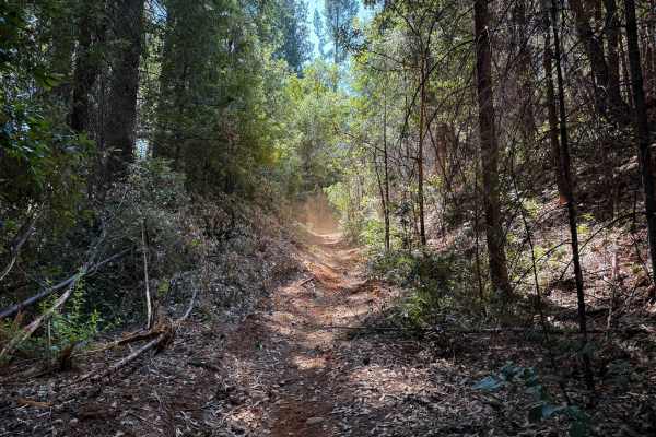 Trail 6-2 (11E52) 