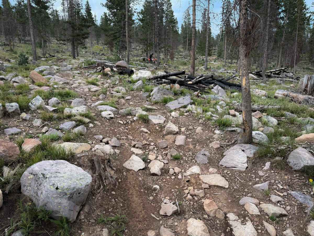 Broadhead Loop - FS 306  trail photo