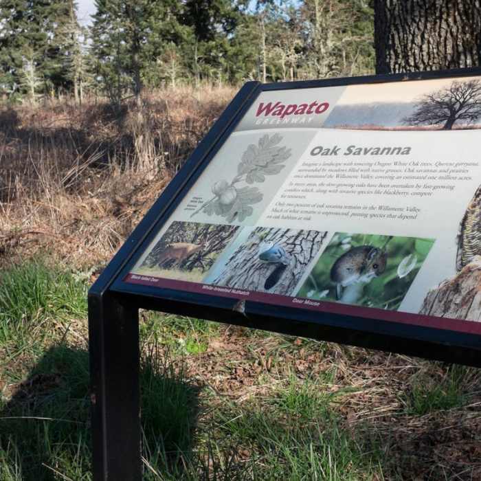 Near Wapato Access Greenway Trail + Virginia Lake