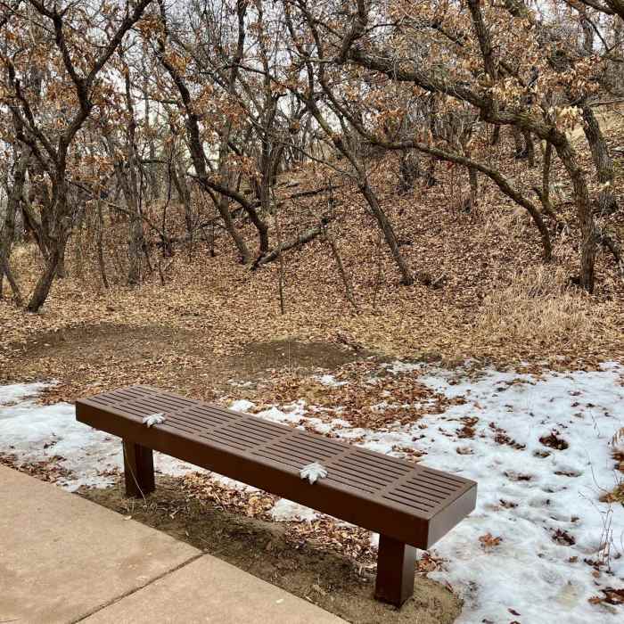 Near Bear Creek, Mountain Scrub, and Yellow Jacket Loop