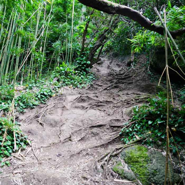 Near Pali Puka Near Pali Puka