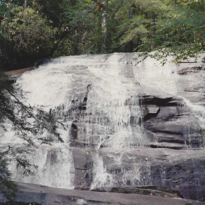 Near Cove Creek Trail #340