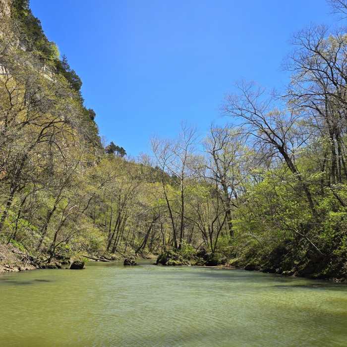 Near Island Trail