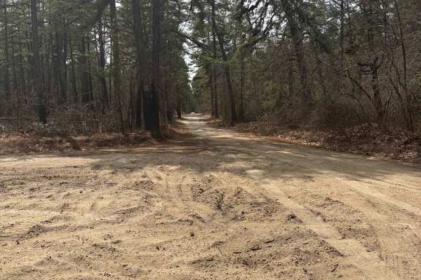 Dutch town to Burnt mill road