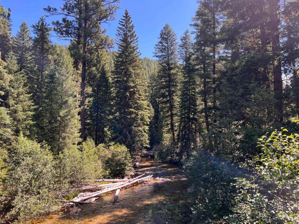 Tin Cup Creek photo 2