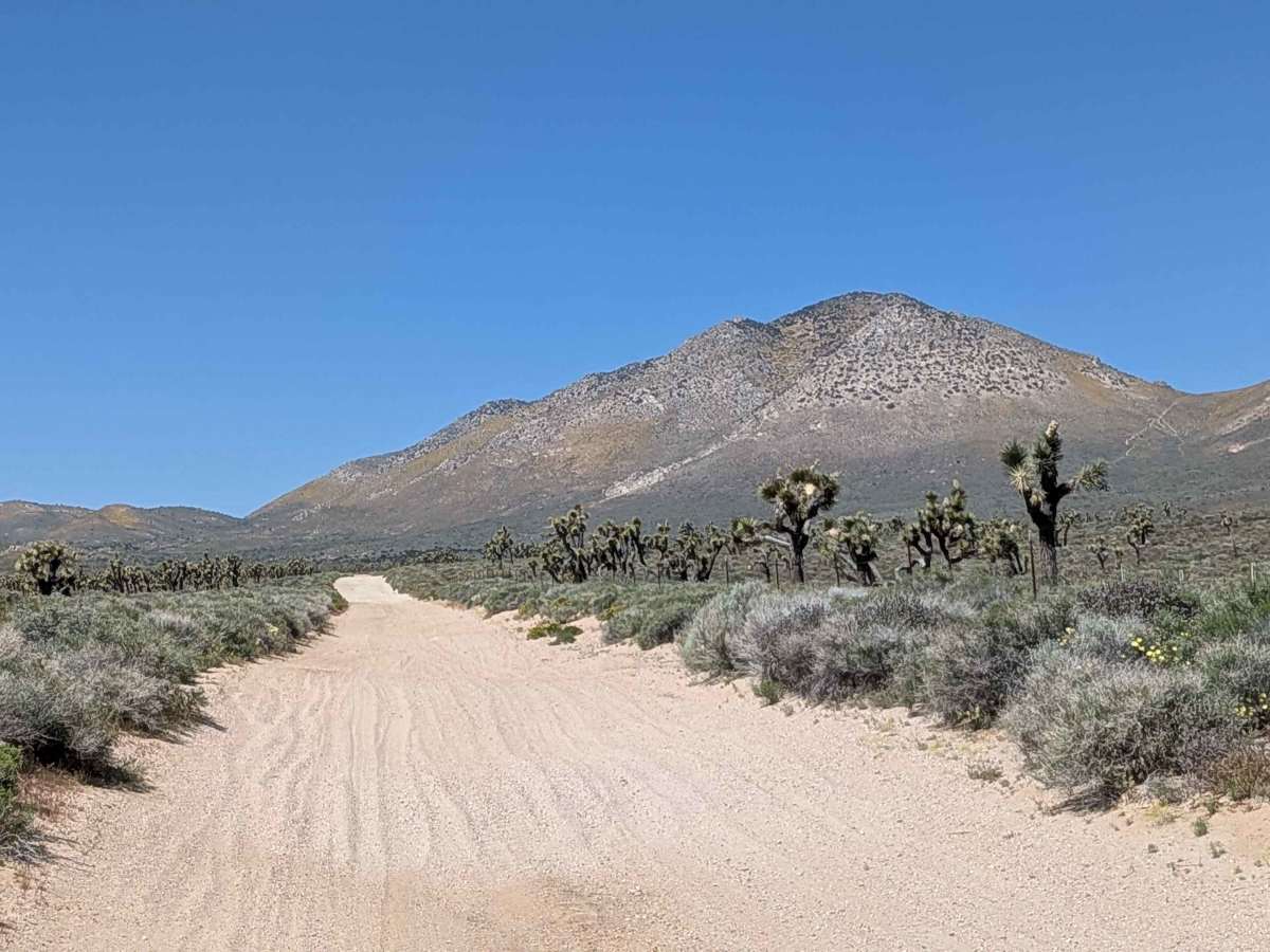 BLM SC106 photo 4