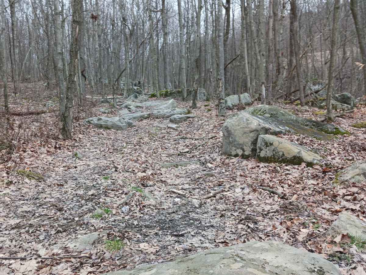 OHV 52 - Rock Run Recreation Area photo 4