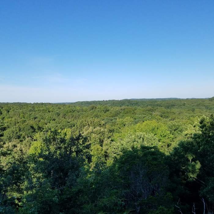 Near Blackjack Oak Trail