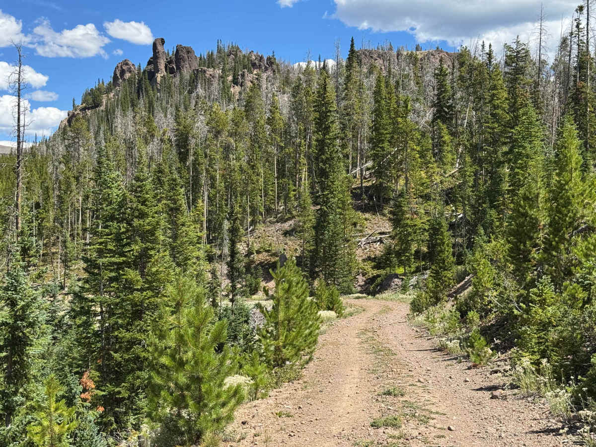 Leo Road trail photo