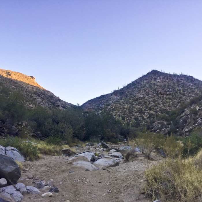 Near Wild Burro Trail