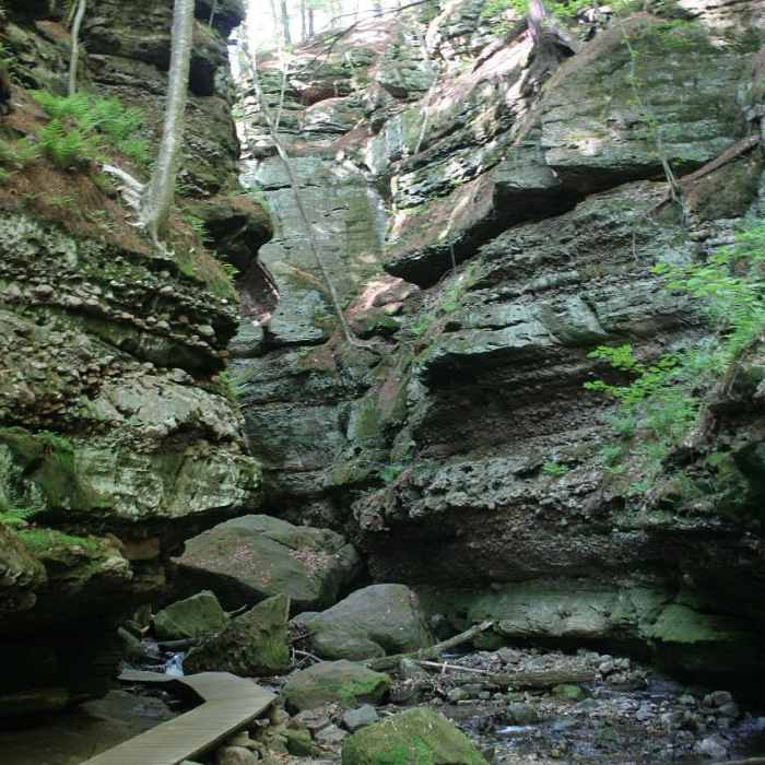Parfey Glen Near Parfrey's Glen Trail