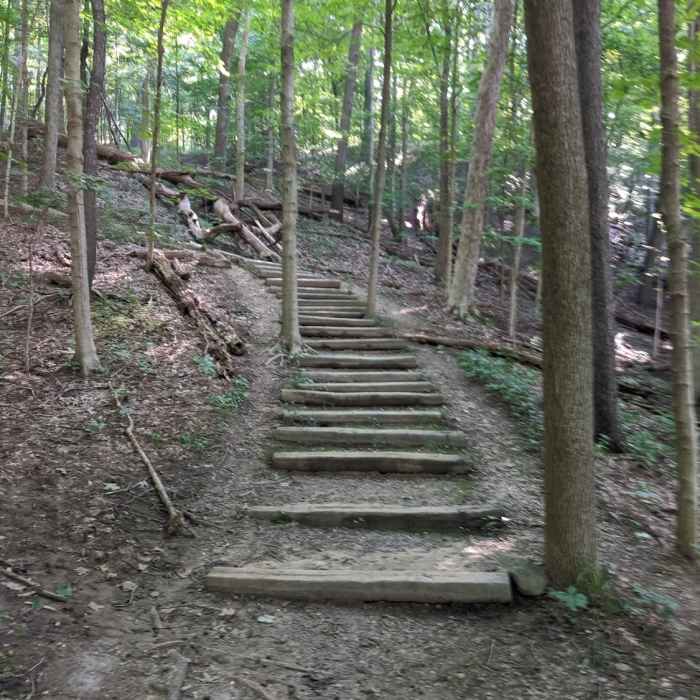 The stairs near the trailhead Near Furnace Run Trail