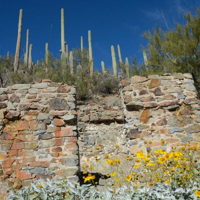 Near Sendero Esperanza