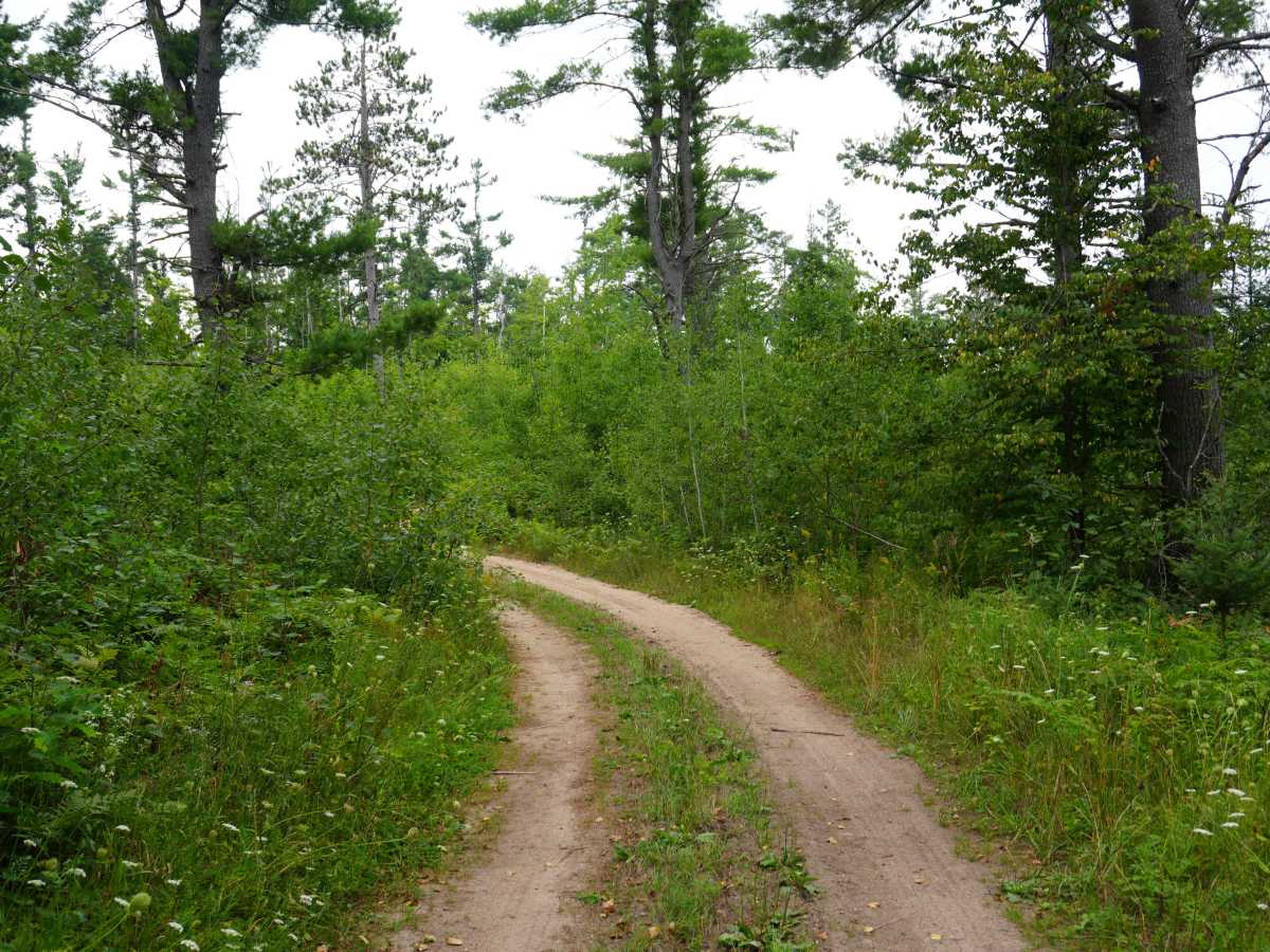 Lost Cabin Trail trail photo