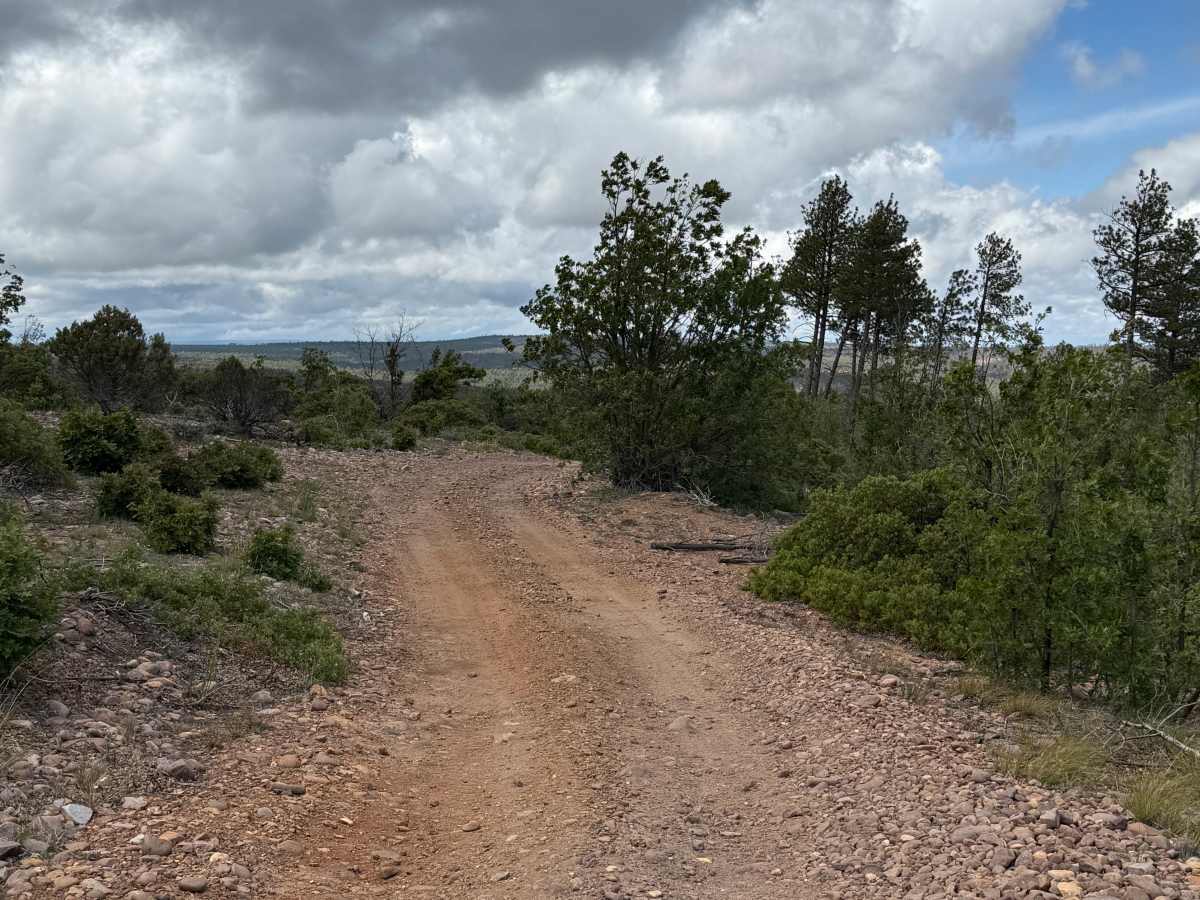 Juniper Ridge - FS 130 photo 4
