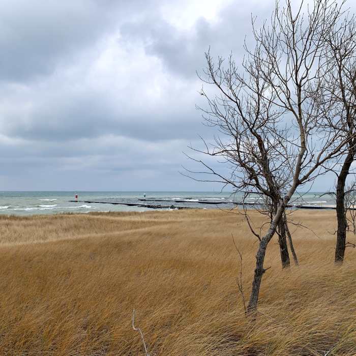 Near Saugatuck Harbor Natural Area