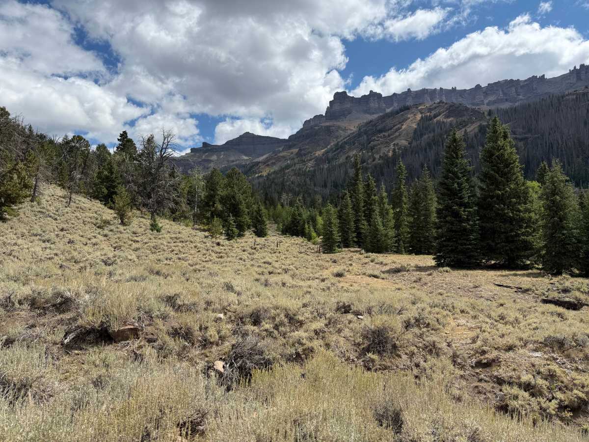 Belknap Access Road photo 4