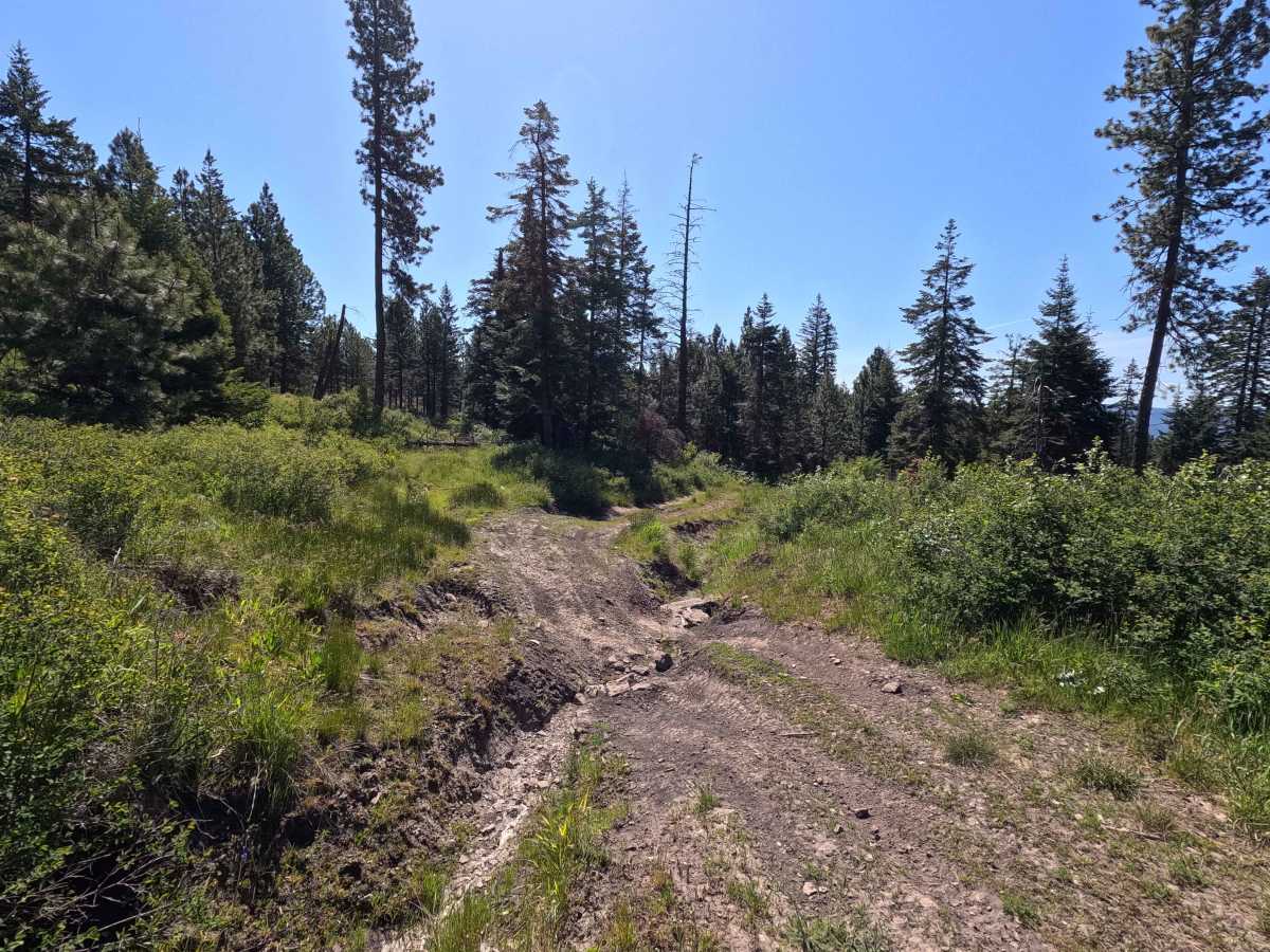 Rock Pit Road - Trail 215 photo 5