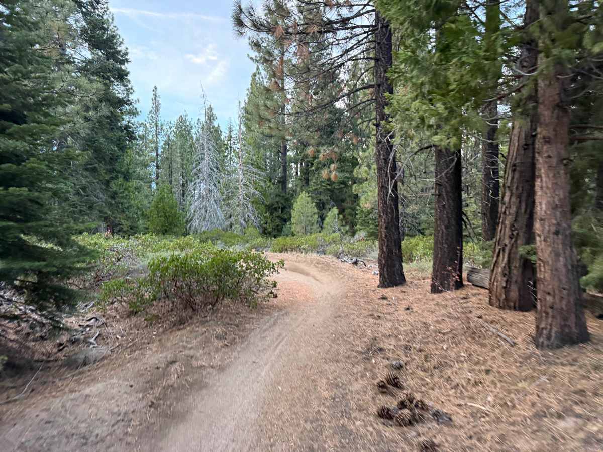 Corral Trail Alt Turns photo 5