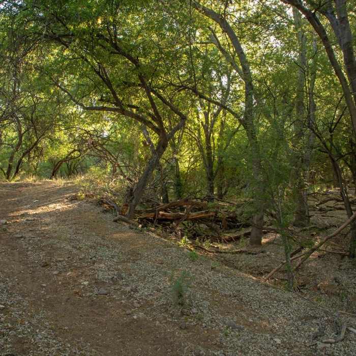 Near Blackhawk Trail