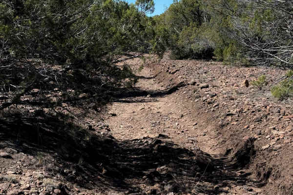 Smith Mesa Corral #665 