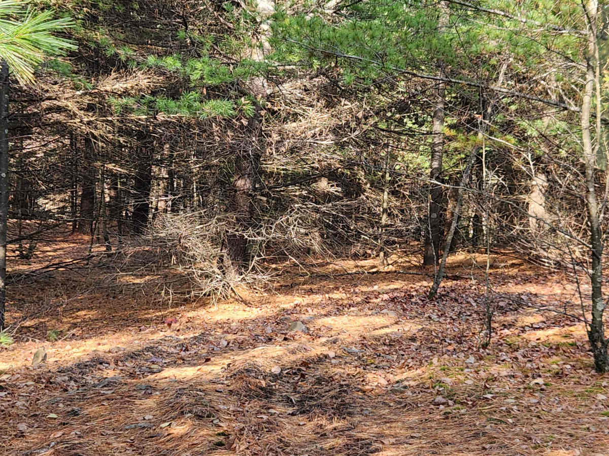 OHV 3 - Rock Run Recreation Area photo 4