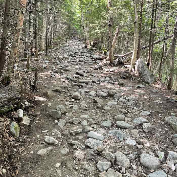 Near Mt. Willard Trail