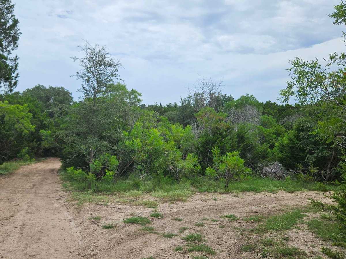 Los Vaqueros photo 4