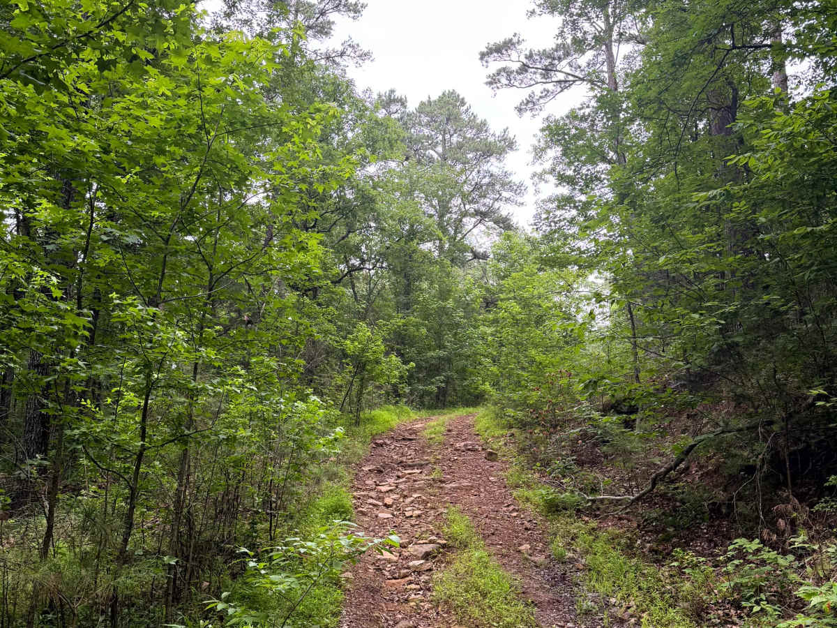 Peters Branch Boulevard photo 6