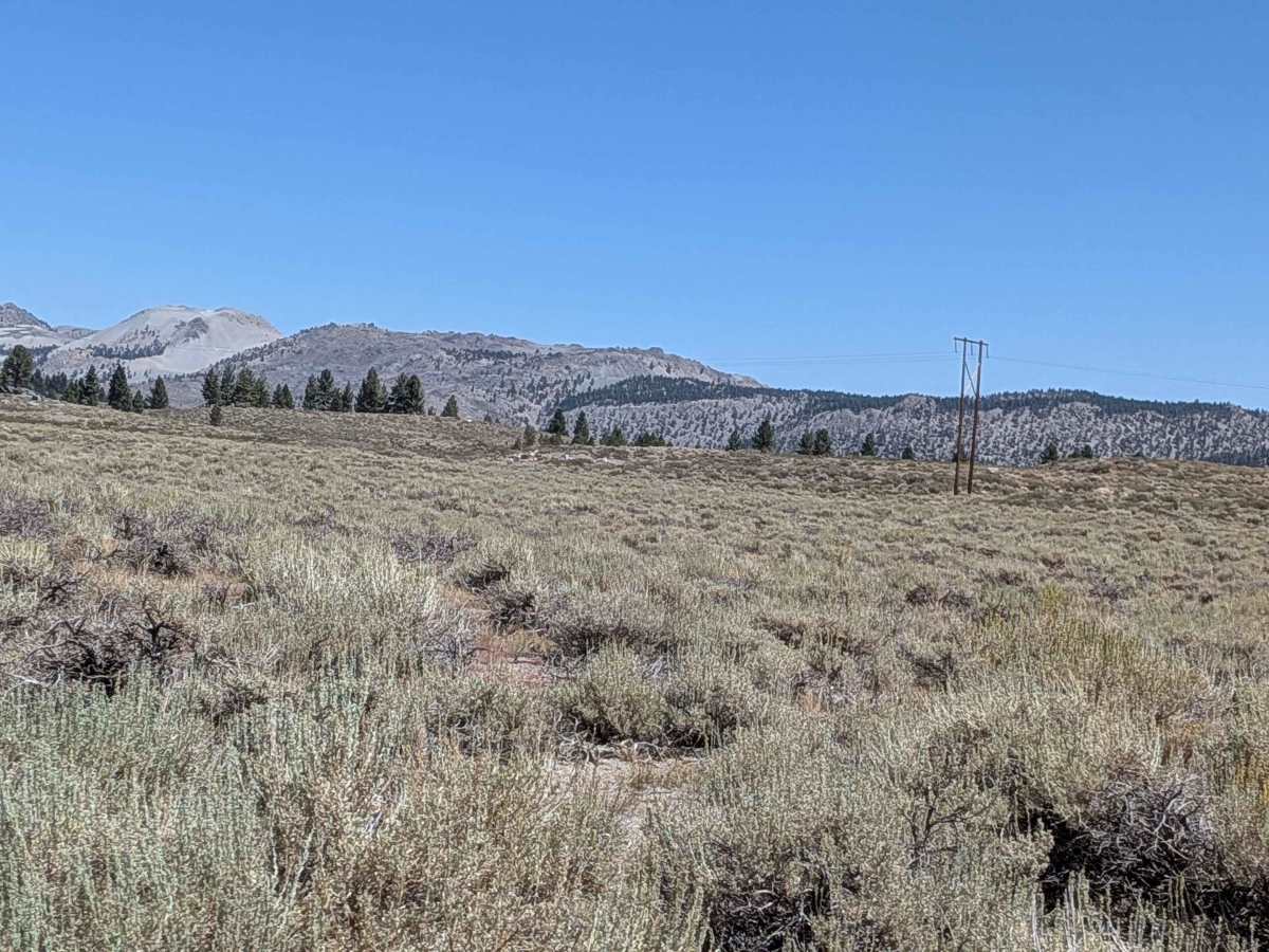 June Lake Shortcut - FS 1S32 photo 2