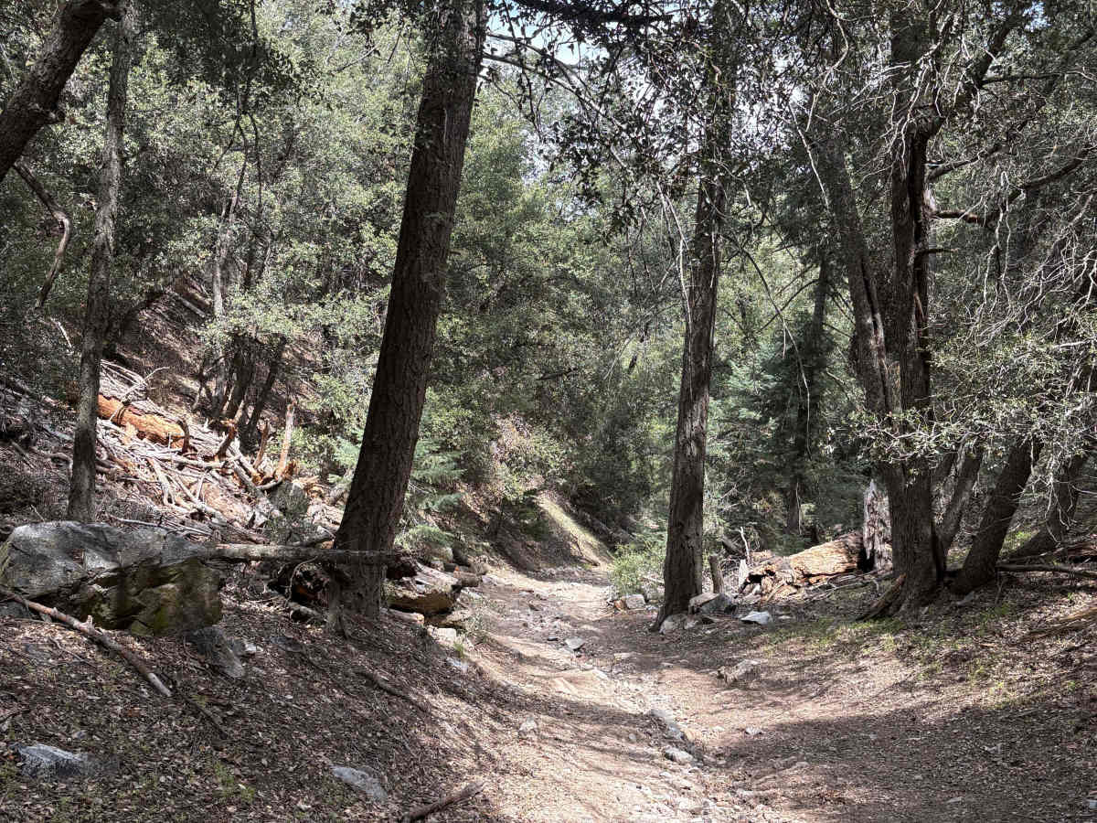 Salt Creek trail photo